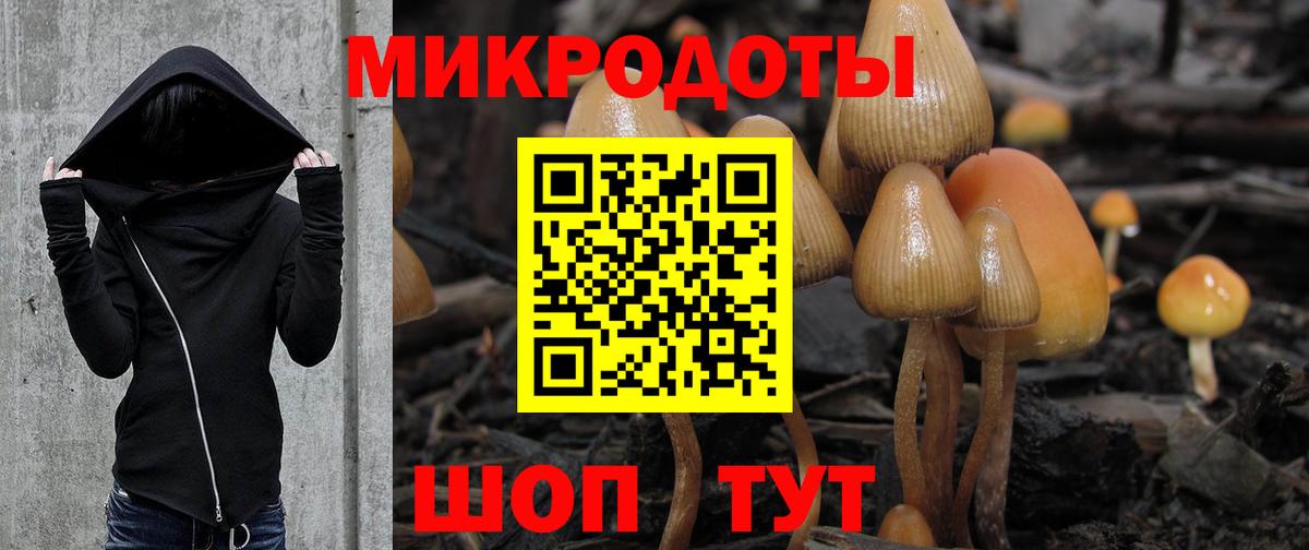 Псилоцибиновые грибы Cubensis Тихвин
